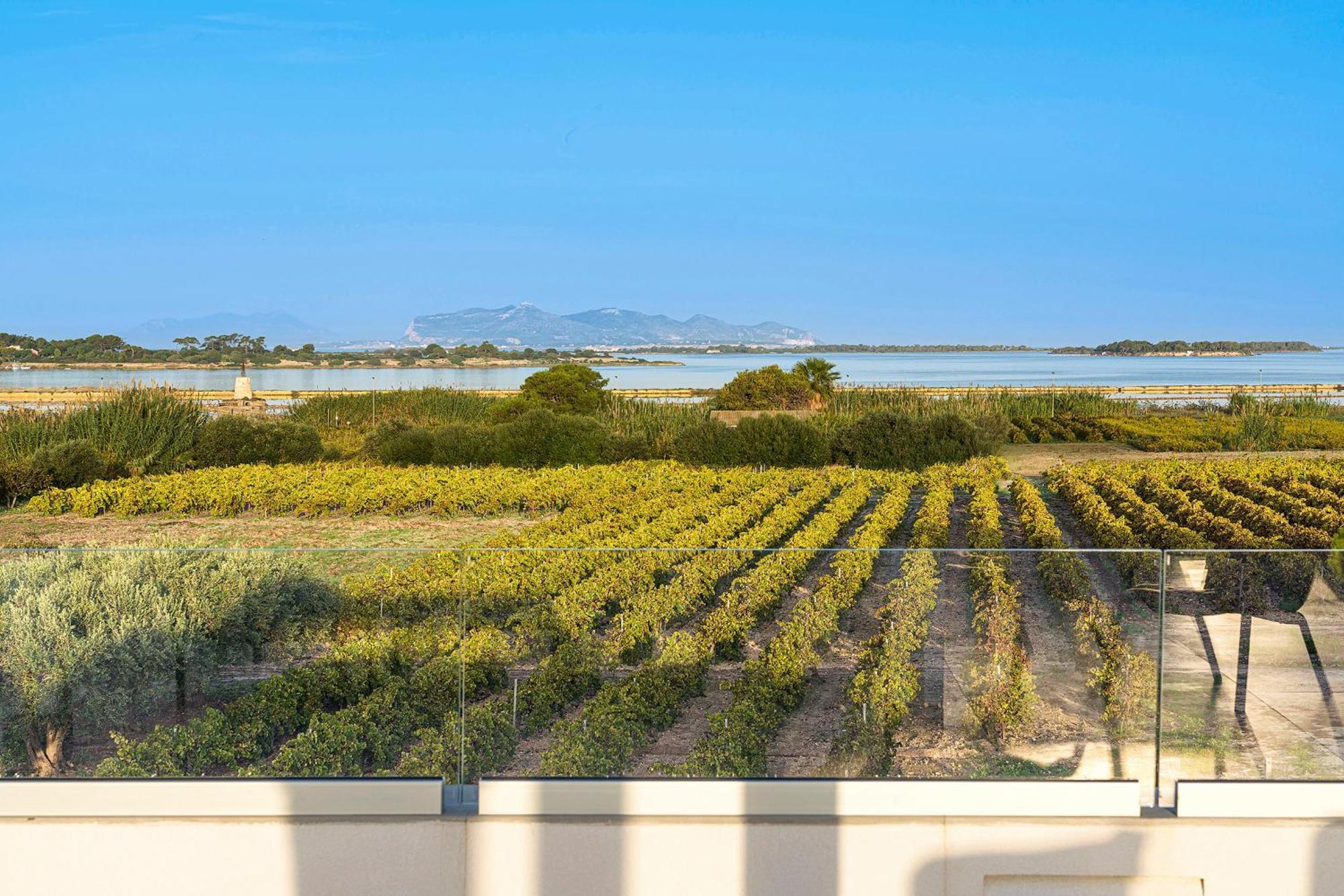Martina'S Vineyard - Villa Marsala Exterior foto